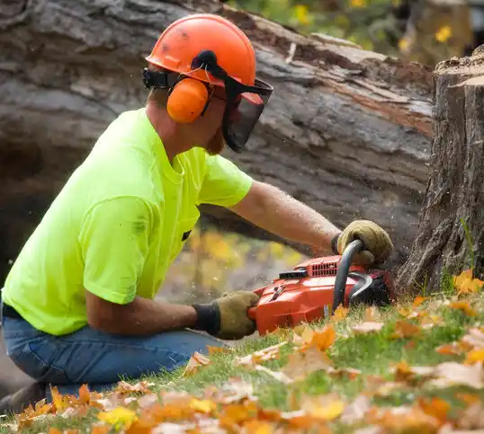 tree services Baker